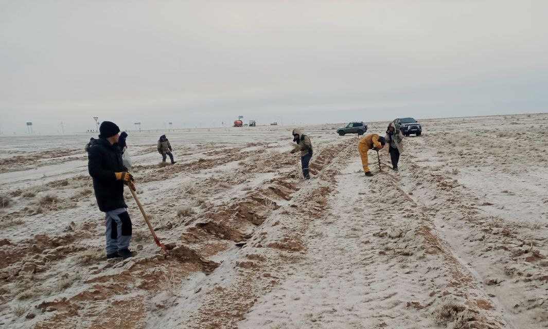 "Jasıl mákan" joybarı sheńberinde Xalıqaralıq áhmiyetke iye A-380 avtomobil jolı boylap kóklemzarlastırıw jumısları ámelge asırılmaqta