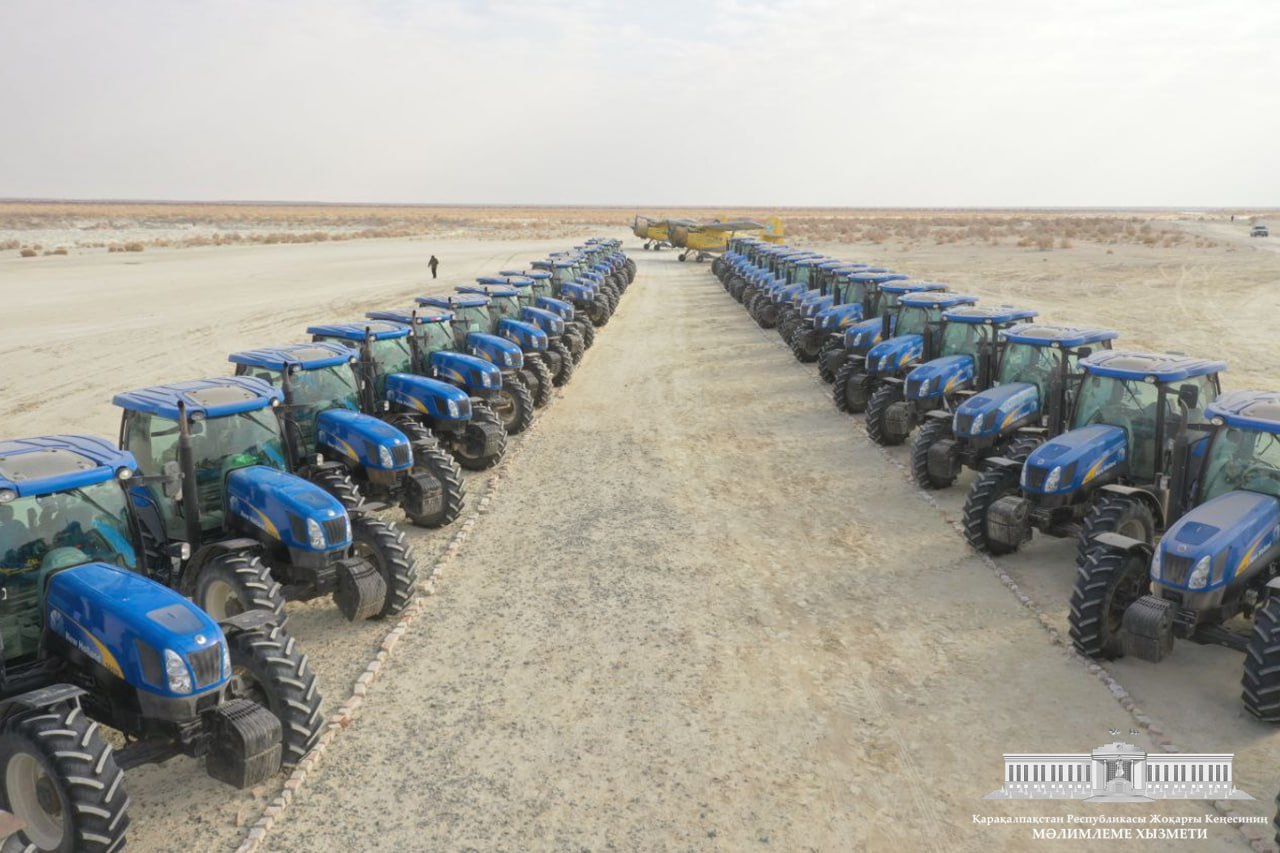 Aral sheginse de insan sheginbeydi