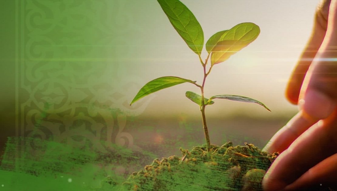 Jańa Ózbekstan – Jasıl mákanda birge jasayıq!