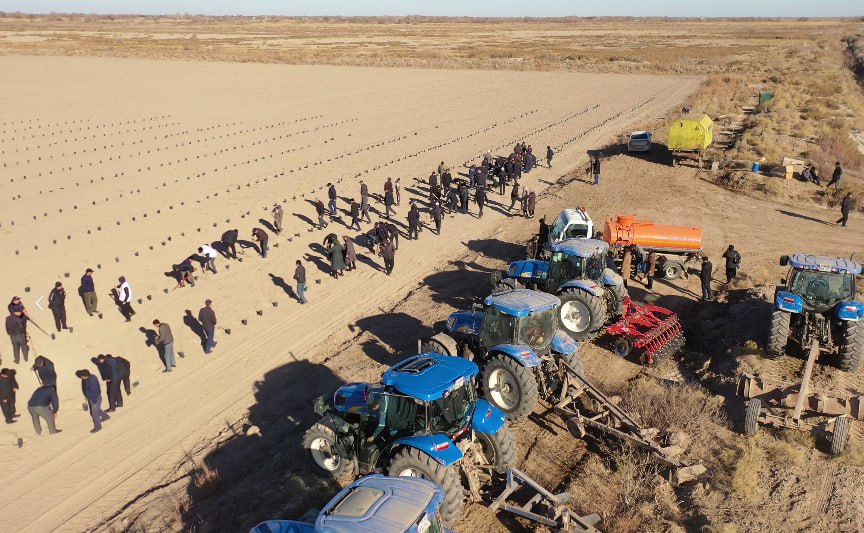 Kegeyli rayonında jańa júzim maydanları jaratılıp atır