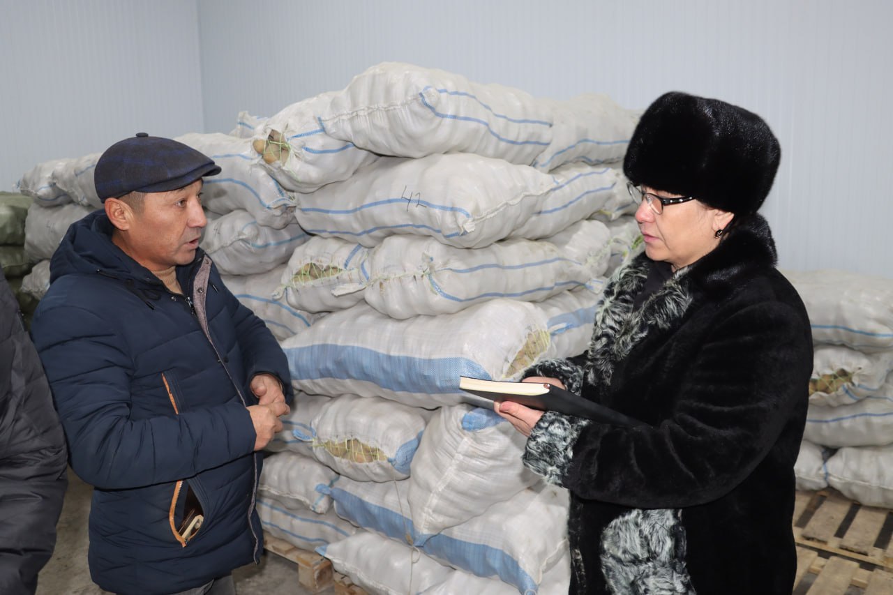 Joqarǵı Keńes Baslıǵınıń tapsırması menen Nókis rayonında úyreniw jumısları alıp barıldı