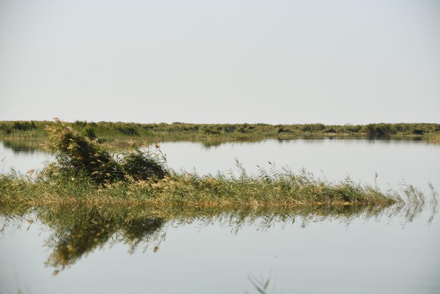 Qoraqalpog'istondagi Jiltirbas ko‘li Ramsar ro‘yxatiga kiritildi
