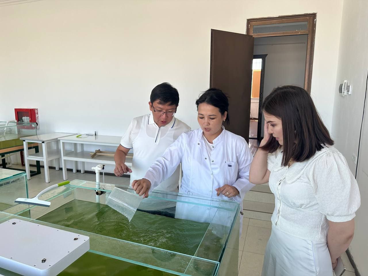 Хлорелла жетистириў лабораториясы иске түсирилди