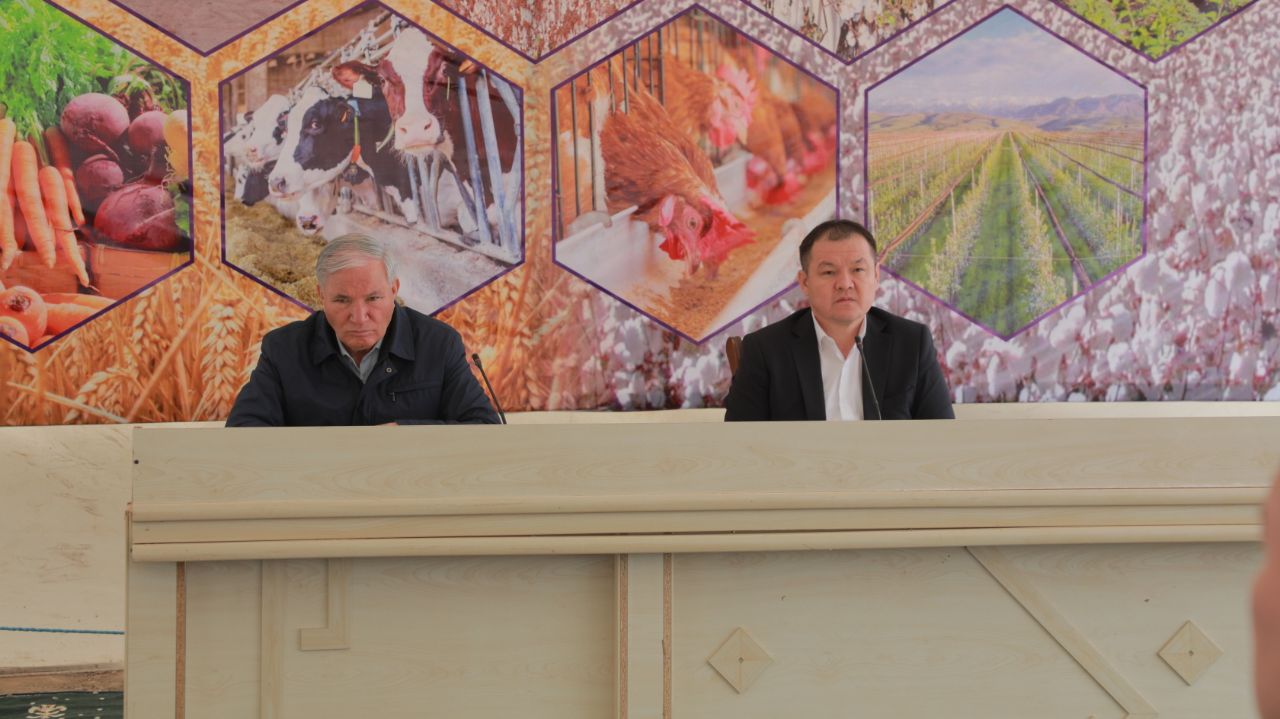 Шымбай районында да шигит егиси басланды