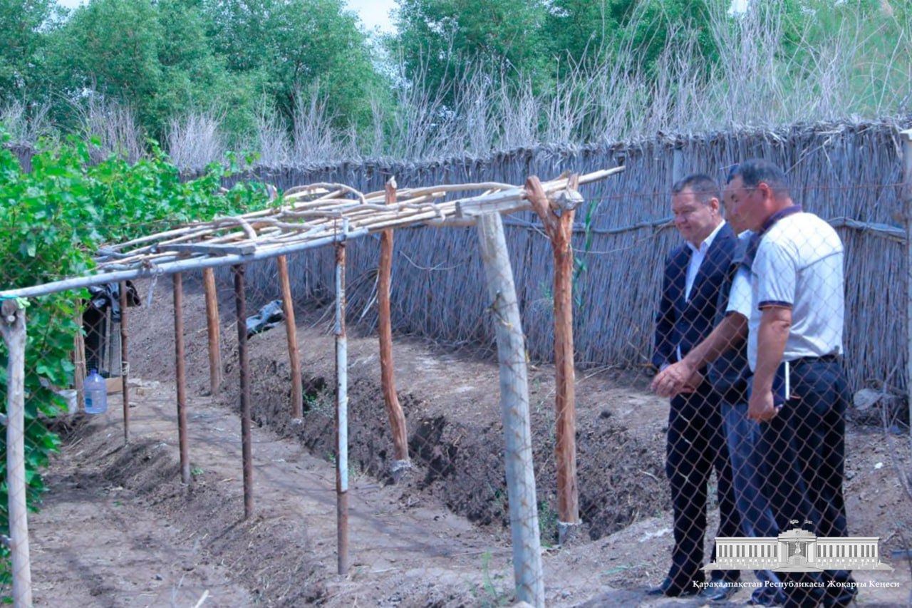 Қыйтақ жер-дәрамат дереги