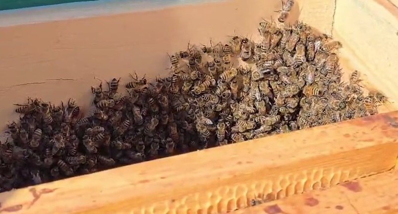 Мойнақта қосымша қаржы дәреклеринен утымлы пайдаланылмақта