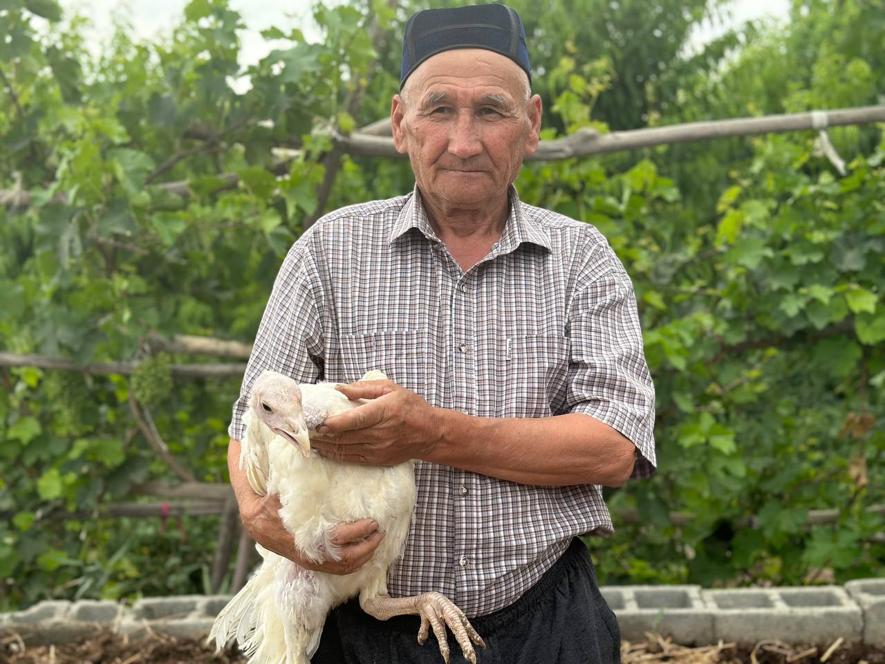 «Сайхунабад» тәжирийбеси  тәжирийбемди арттырмақта
